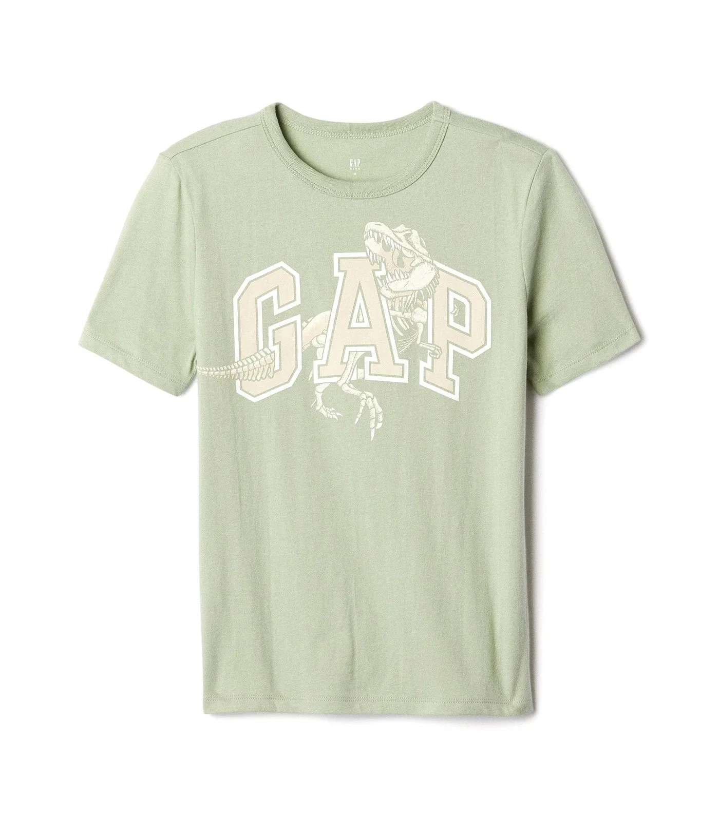 Kids Graphic T-Shirt Desert Sage